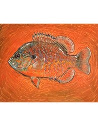 DeYoung Canvas Prints 20x16 in Pumpkin Seed Orange